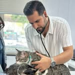 Dr.Maghsoudi Pet Clinic | کلینیک دامپزشکی دکتر مقصودی