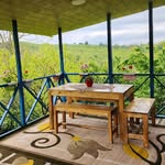 کلبه علی🏡بومگردی🌏سفر🏕طبیعتگردی🌱لیدر محلی🏞